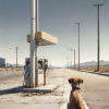 dog by rayzone